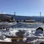 昨日の雪と本日からの福寿草展