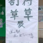 福寿草、雪割草展のお知らせ。