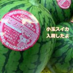 小玉スイカ”ピノ・ガール”入荷　南高梅　プラム　などなど