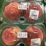 夏野菜が種類豊富にでています