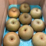 梨 幸水贈答箱入り