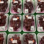 ぶどう”クイーンルージュ”  りんご”オータムドレス”　梨”豊水”など