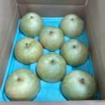 二十世紀梨入荷です。