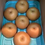 贈答用梨”豊水”ぶどう”藤稔”