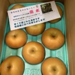 贈答用梨”南水”でました