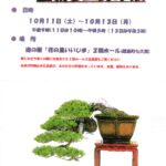 盆栽と山野草展のお知らせ