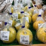 冬野菜いろいろ