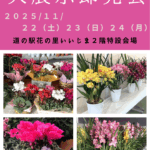 シンビジュームとシクラメン即売会