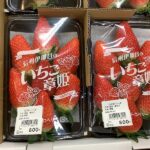 いちご初入荷