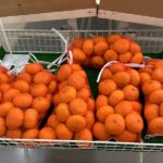 みかん　りんご　キウイ