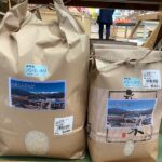 飯島産”コシヒカリ”販売