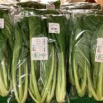 こだわりの葉物野菜