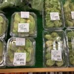 ふきのとう入荷