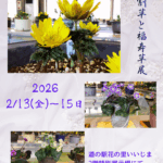 雪割草と福寿草展示会のお知らせ