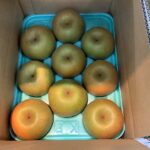 贈答用箱入梨”幸水”入荷です。