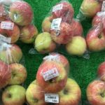 サンつがる、野菜入荷