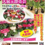 シンビジュームとシクラメン展示会のお知らせ